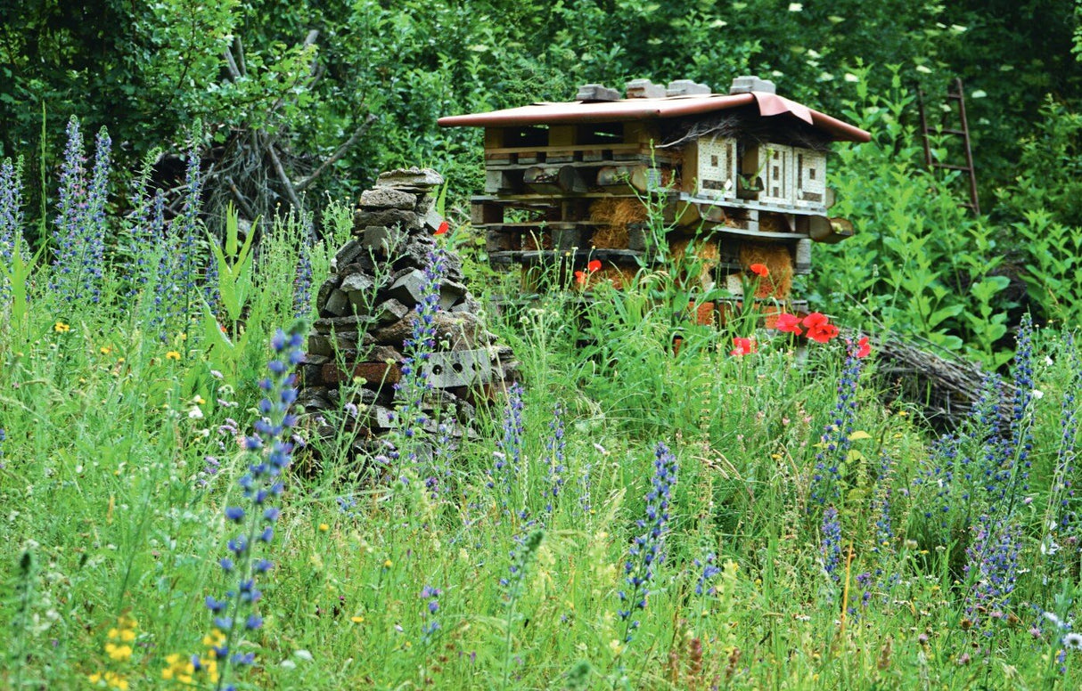 Permakultur und Naturgarten