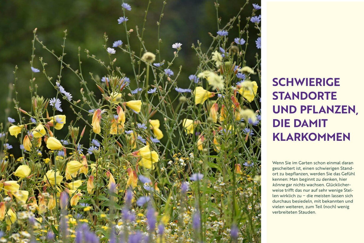 Wächst nicht gibt’s nicht