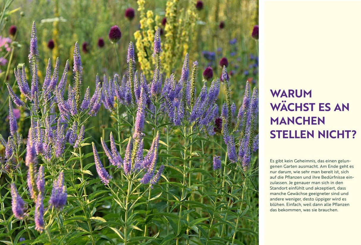 Wächst nicht gibt’s nicht