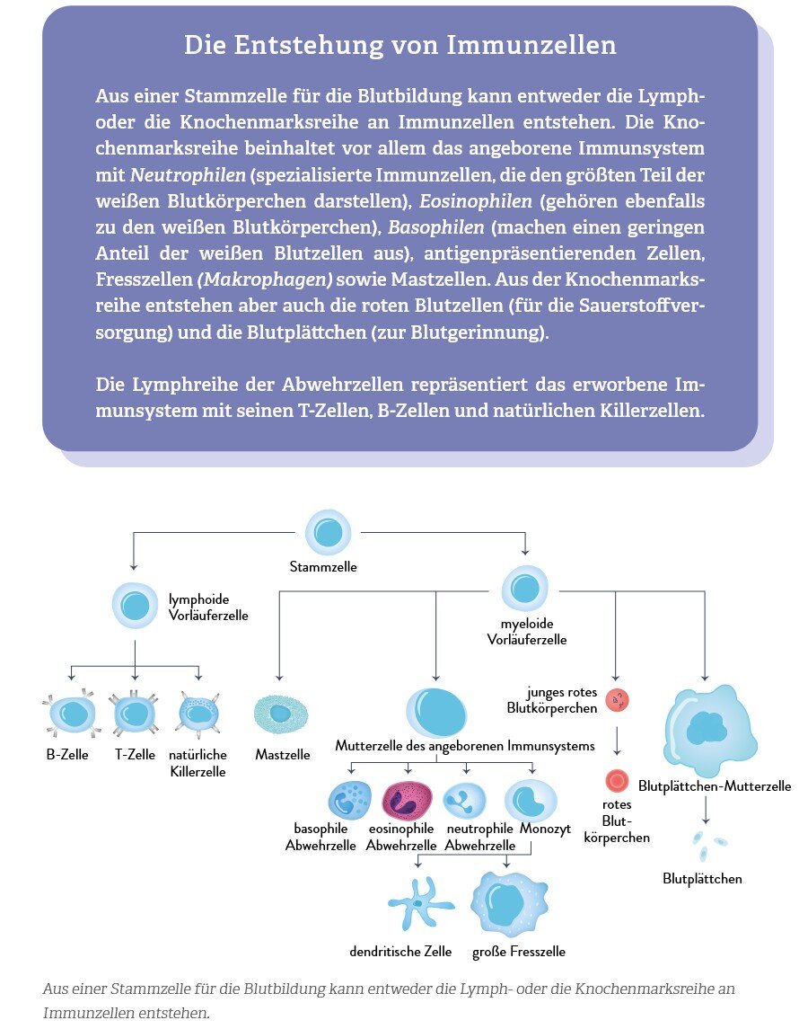 Allergien? Ohne mich!
