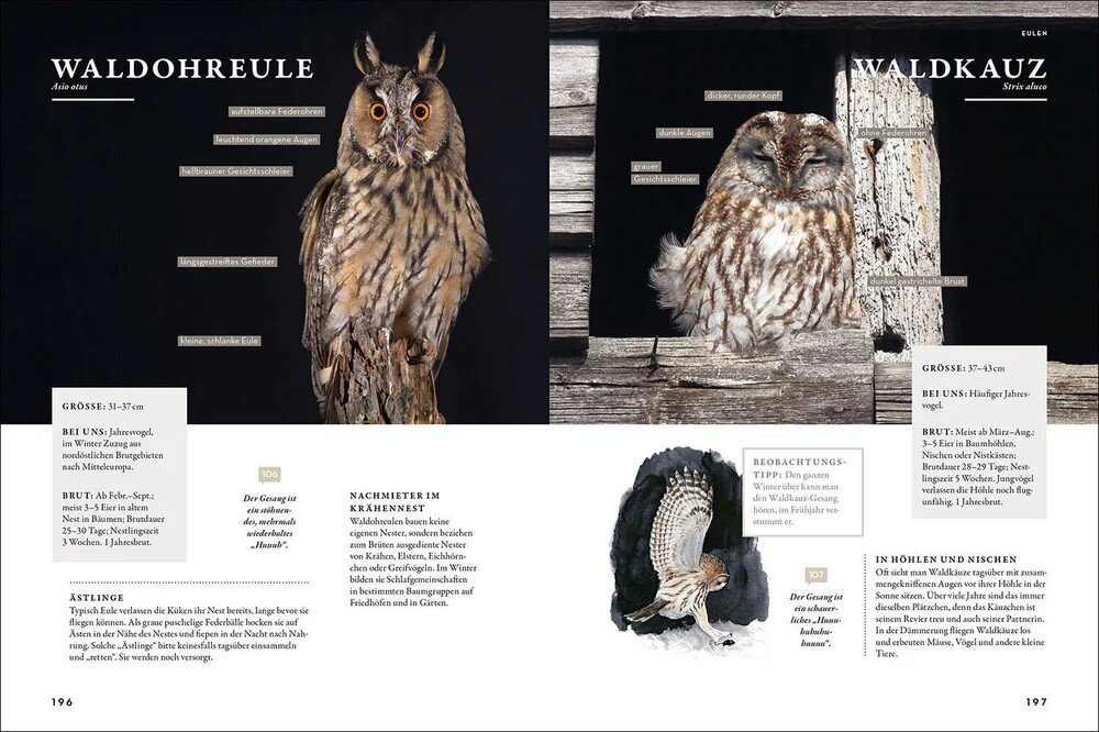 Das Buch der Gartenvögel