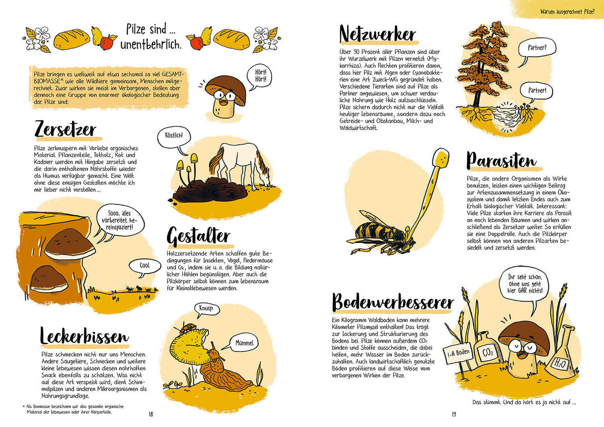 Pilze für Ahnungslose