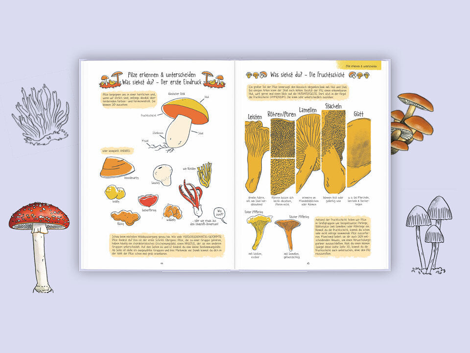 Pilze für Ahnungslose
