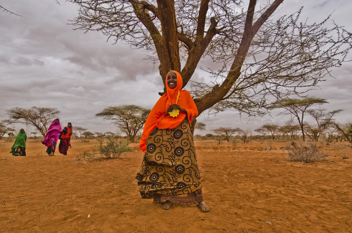 Little Sun Solar-Lampe