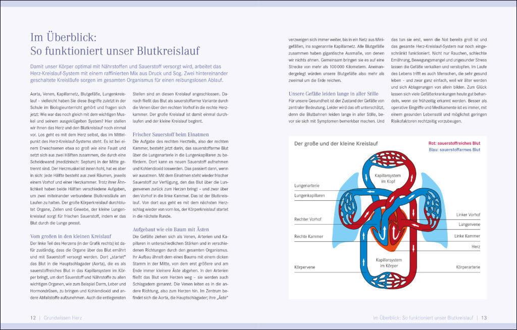 Die Ernährungs-Docs - Starkes Herz