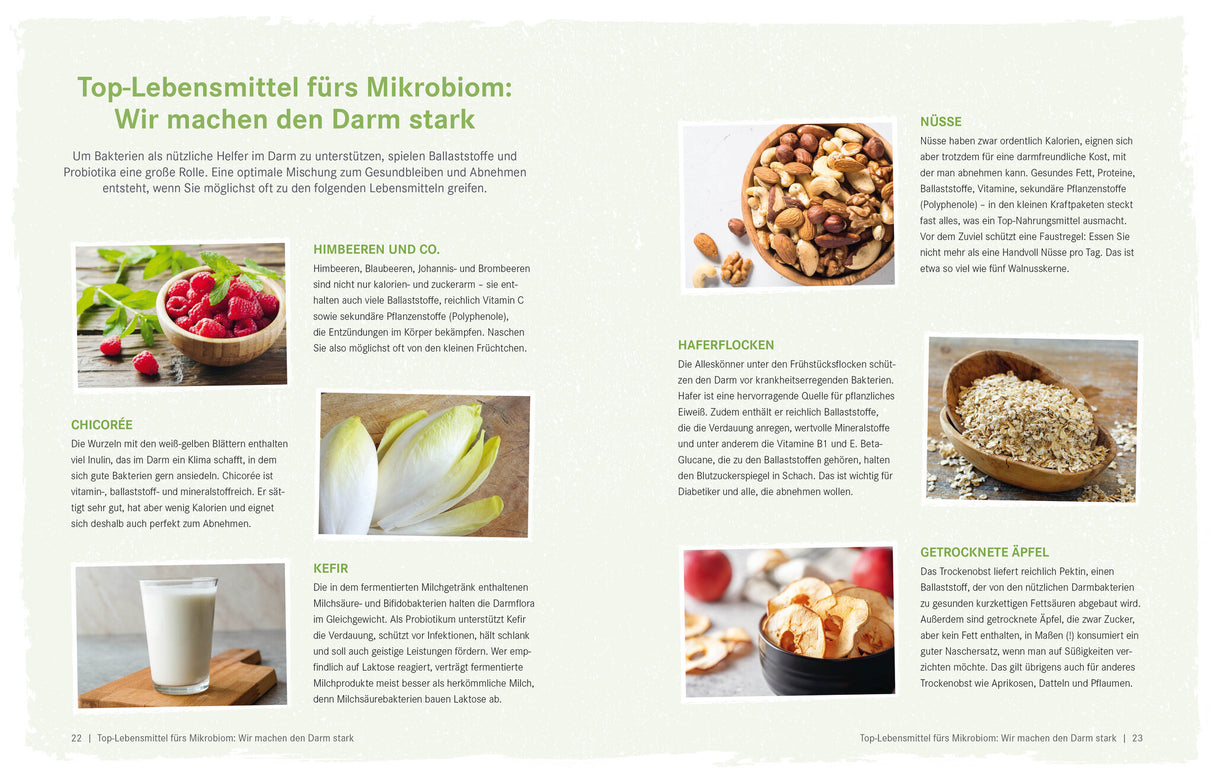 Die Ernährungs-Docs – Gesund abnehmen mit der Darm-fit-Formel