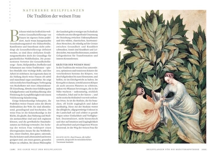 Die ganze Welt der Heilpflanzen