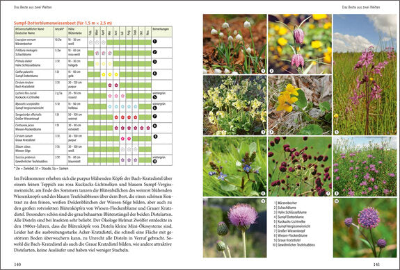 Die Rasen-Revolution