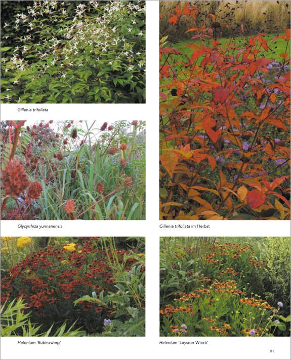 Gärten inspiriert von der Natur