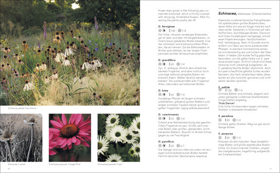 Gärten inspiriert von der Natur