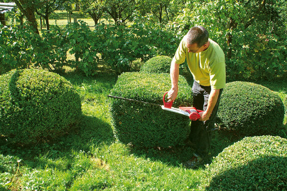 Handbuch Pflanzenschnitt