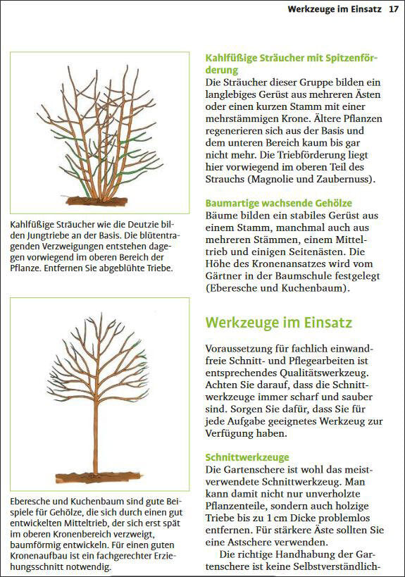 Handbuch Pflanzenschnitt