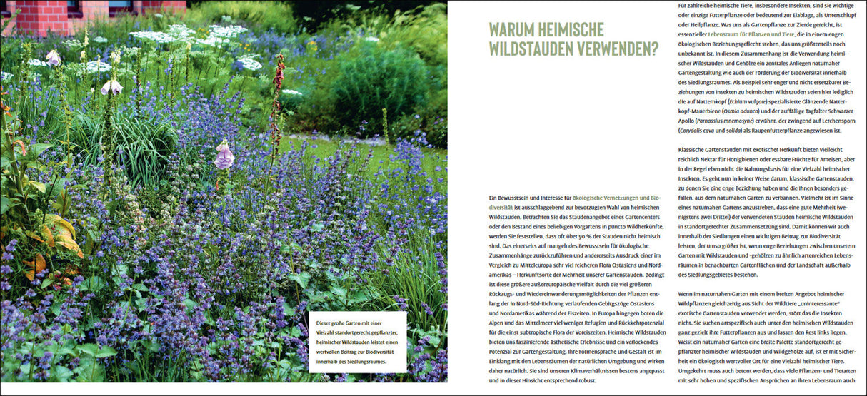 Heimische Wildstauden im Garten