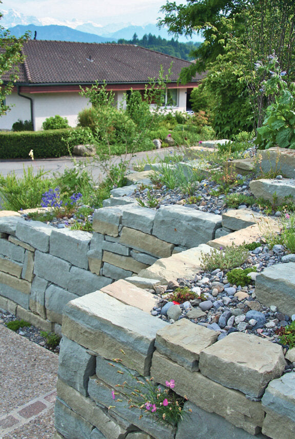 Heimische Wildstauden im Garten