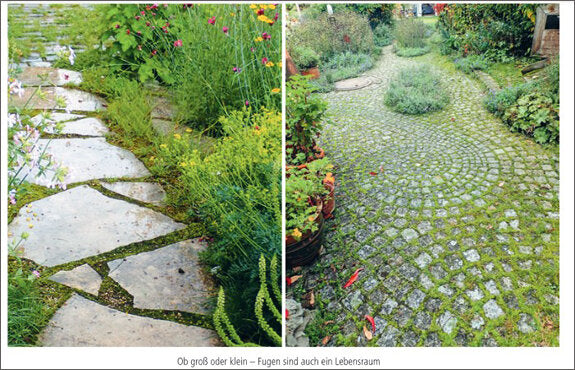 Mein Garten wird ein Naturgarten