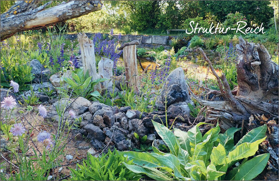 Mein Garten wird ein Naturgarten