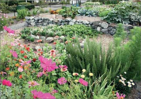 Praxisbuch Permakultur