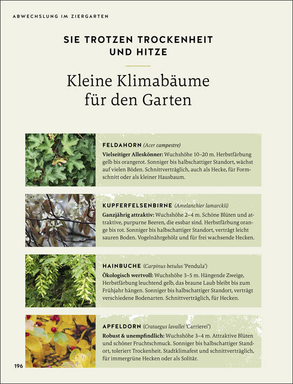 So wird der Garten fit fürs Klima