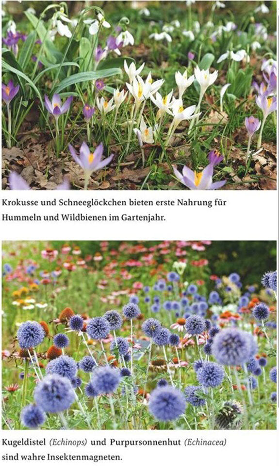 So wird der Garten fit fürs Klima