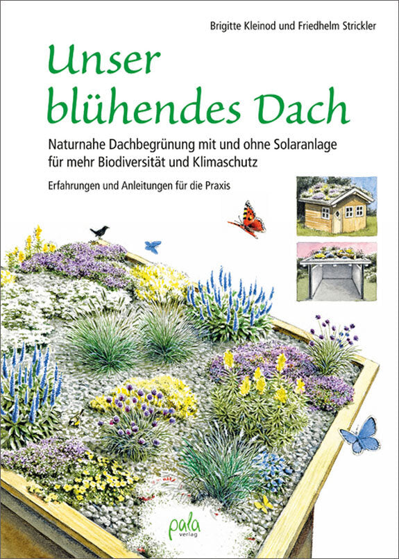 Unser blühendes Dach