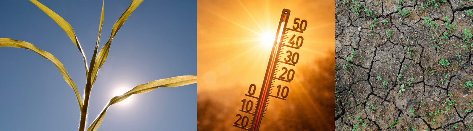 Artenschutz beginnt vor der Haustür: mit wenig Aufwand viel bewirken