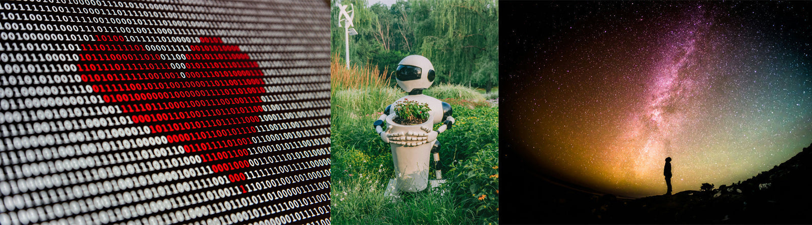 KI - vielleicht steckt gerade darin eine Chance für mehr Nachhaltigkeit?