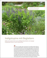 Echte Hitzeprofis