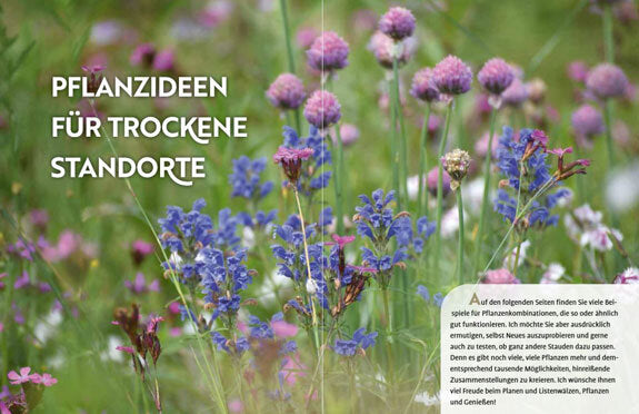 Echte Hitzeprofis