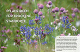 Echte Hitzeprofis