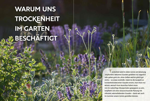 Echte Hitzeprofis