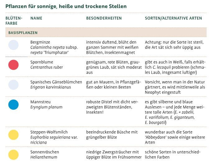 Wächst nicht gibt’s nicht