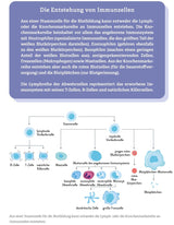 Allergien? Ohne mich!