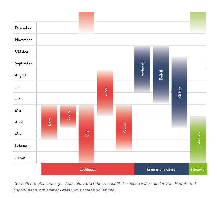 Allergien? Ohne mich!