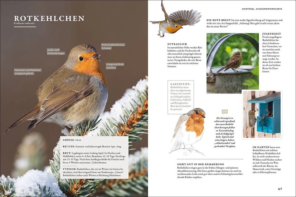 Das Buch der Gartenvögel