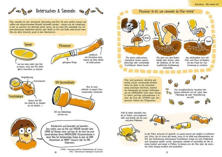 Pilze für Ahnungslose
