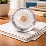 Briefbeschwerer Pusteblume