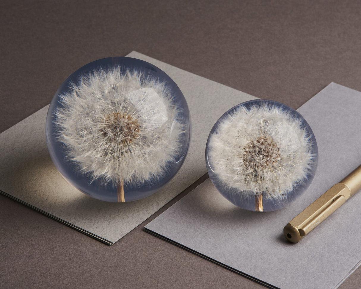 Briefbeschwerer Pusteblume