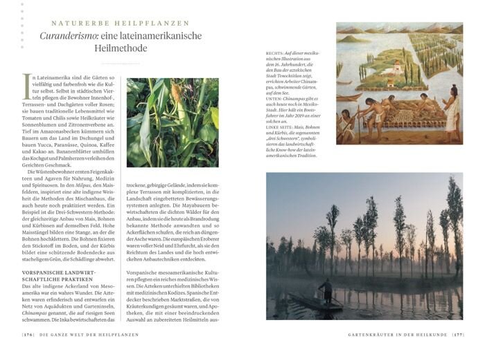 Die ganze Welt der Heilpflanzen