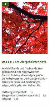Handbuch Pflanzenschnitt