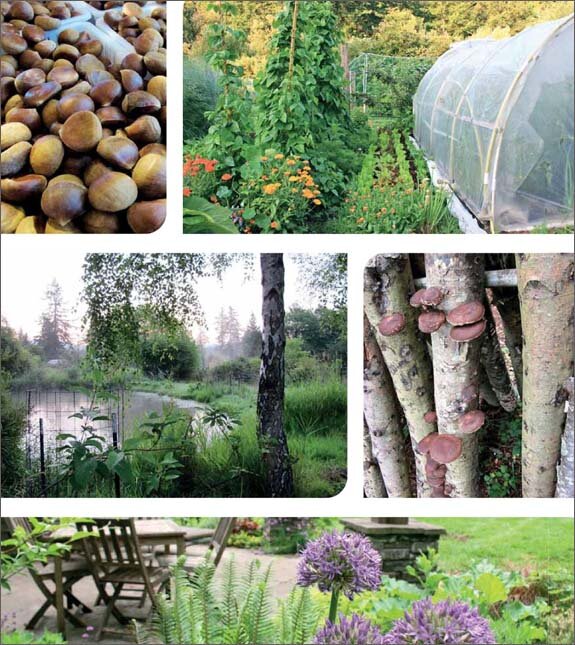 Praxisbuch Permakultur