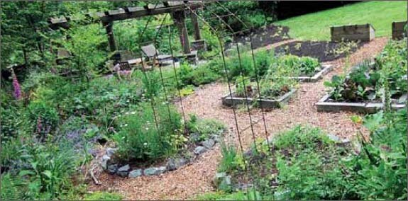 Praxisbuch Permakultur