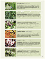 So wird der Garten fit fürs Klima